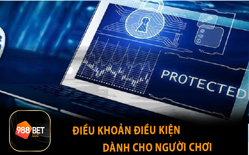 Điều khoản điều kiện dành cho người chơi