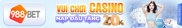 vui chơi casino